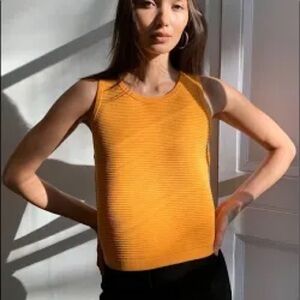 Babaton Aritzia Alrik Knit Crop Tank Top Crew Neck Ribbed Vest S Orange